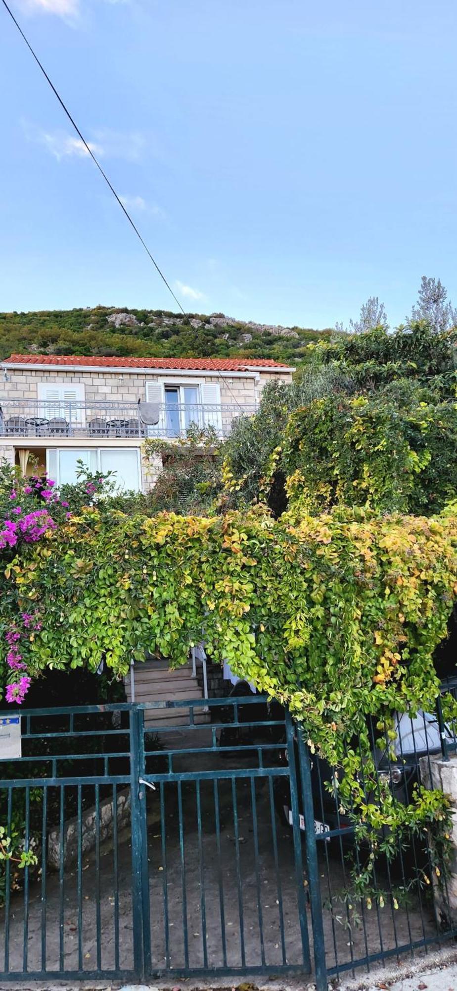 Tranquility And Nature In 4 Bedroom With Sea View Mokošica Exterior foto